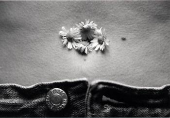 <strong>Flores en mi ombligo...</strong>